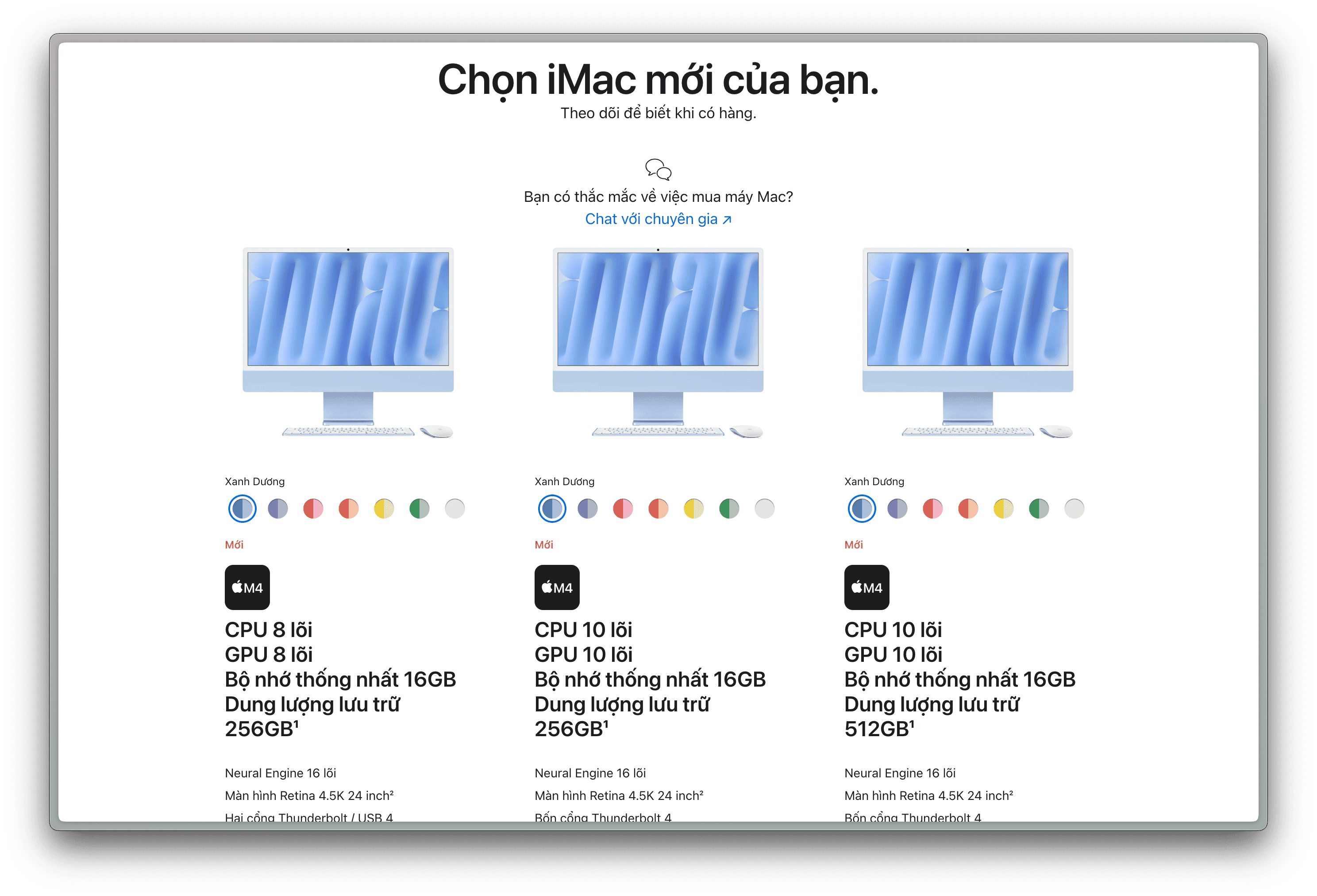 9.webp